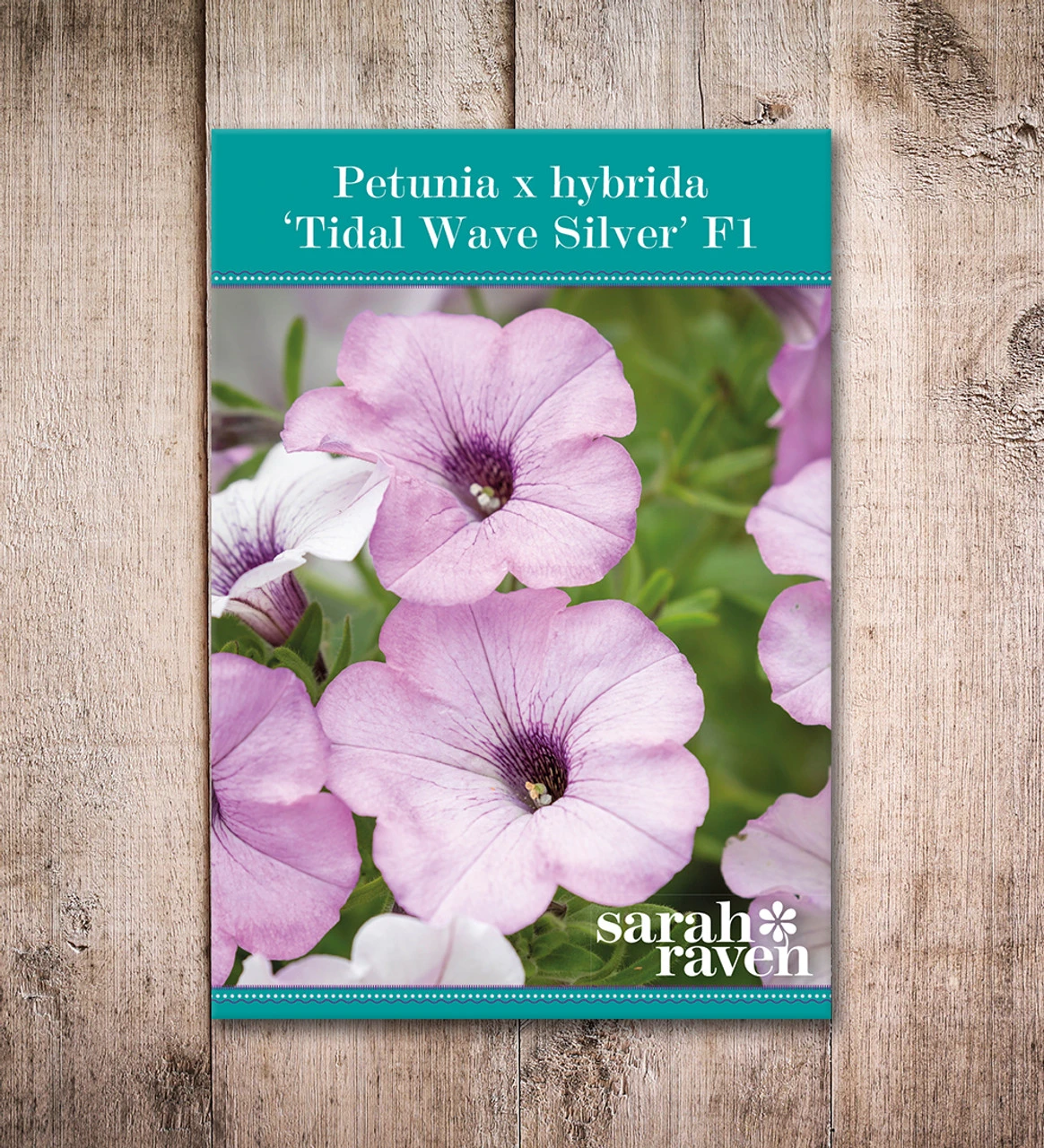 Petunia X Hybrida 'Tidal Wave Silver' F1 - Image 2