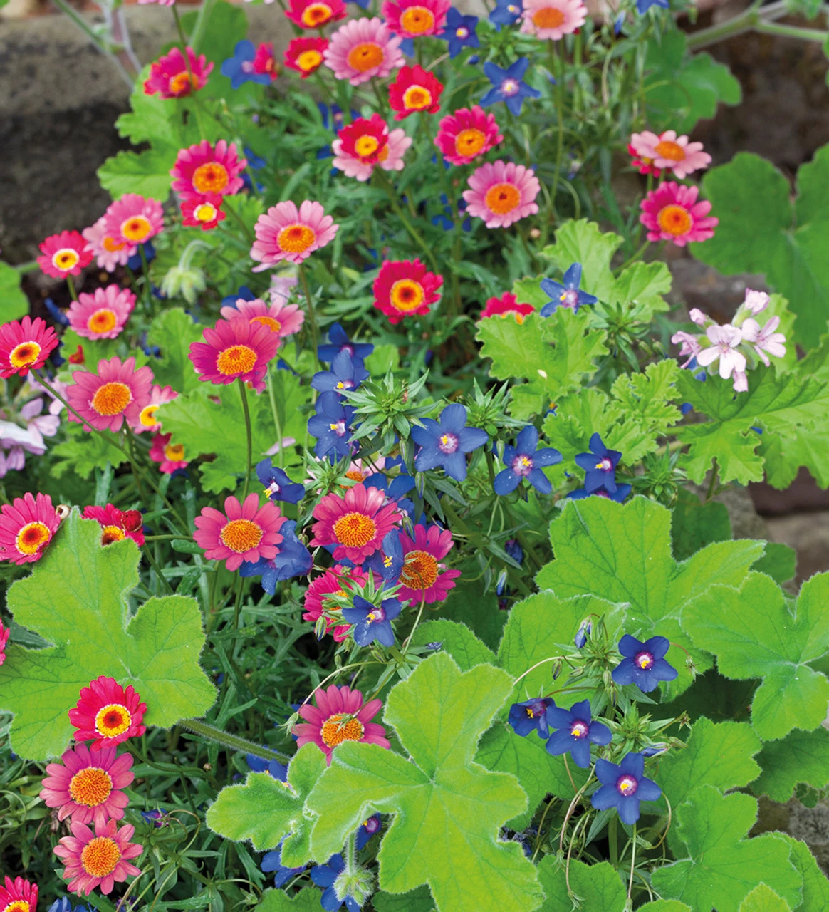 Blue, Pink And Silver Pot Collection - Image 2