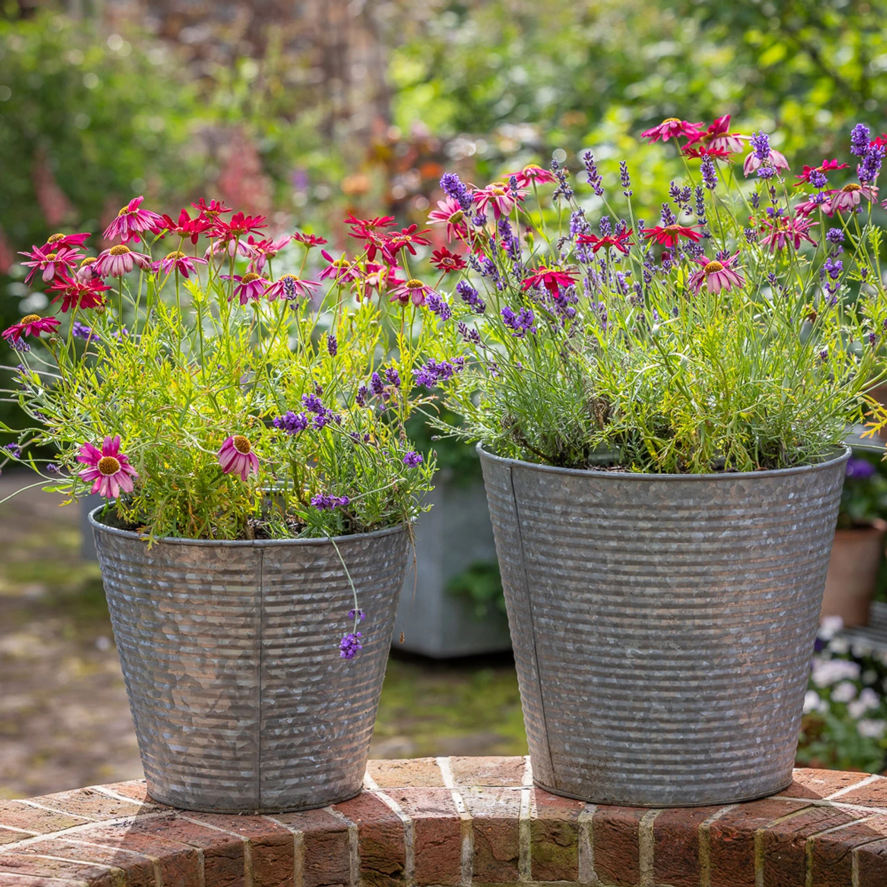 Blue, Pink And Silver Pot Collection