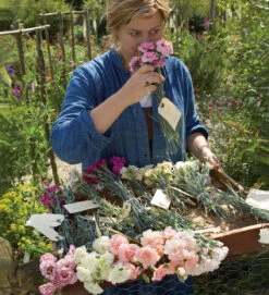 Sarah's Favourite Pinks Collection