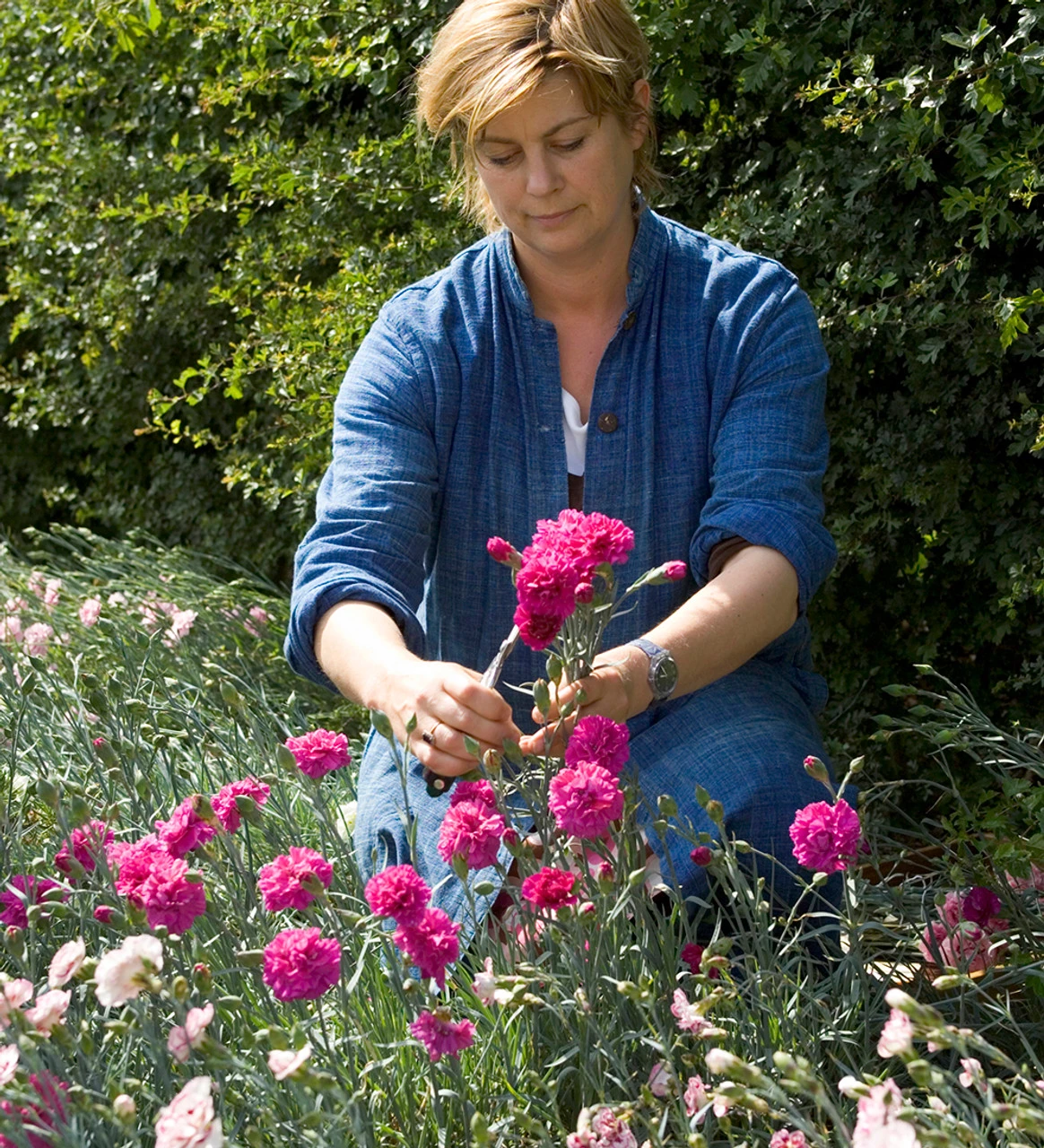 Sarah's Favourite Pinks Collection - Image 2