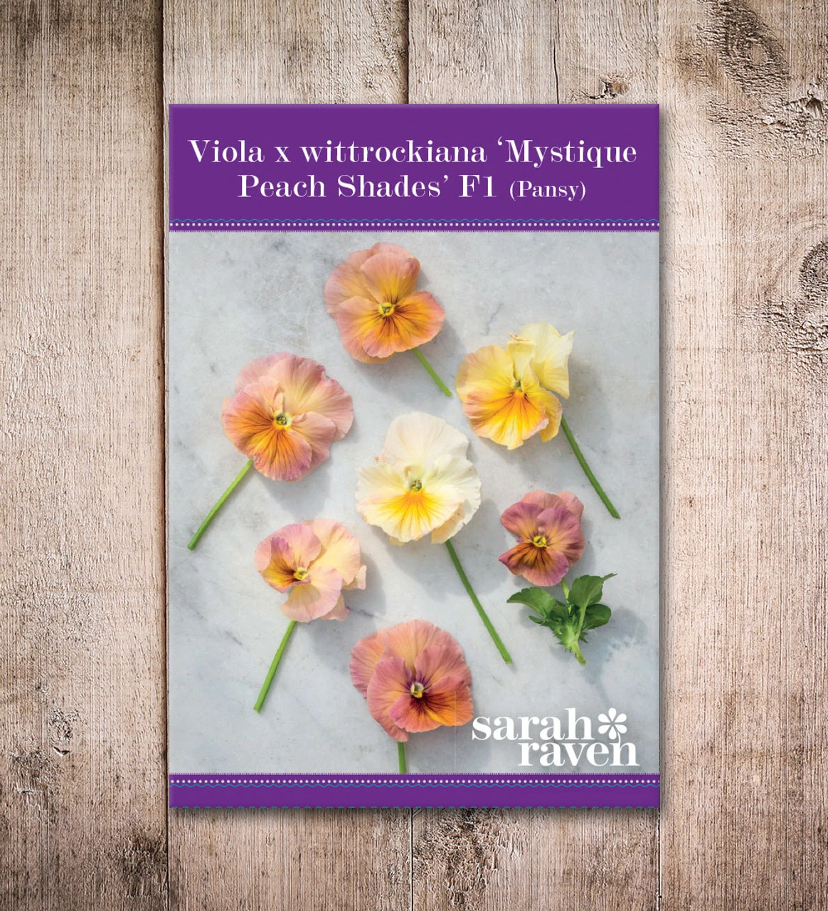 Viola X Wittrockiana 'Peach Shades' F1 - Image 4