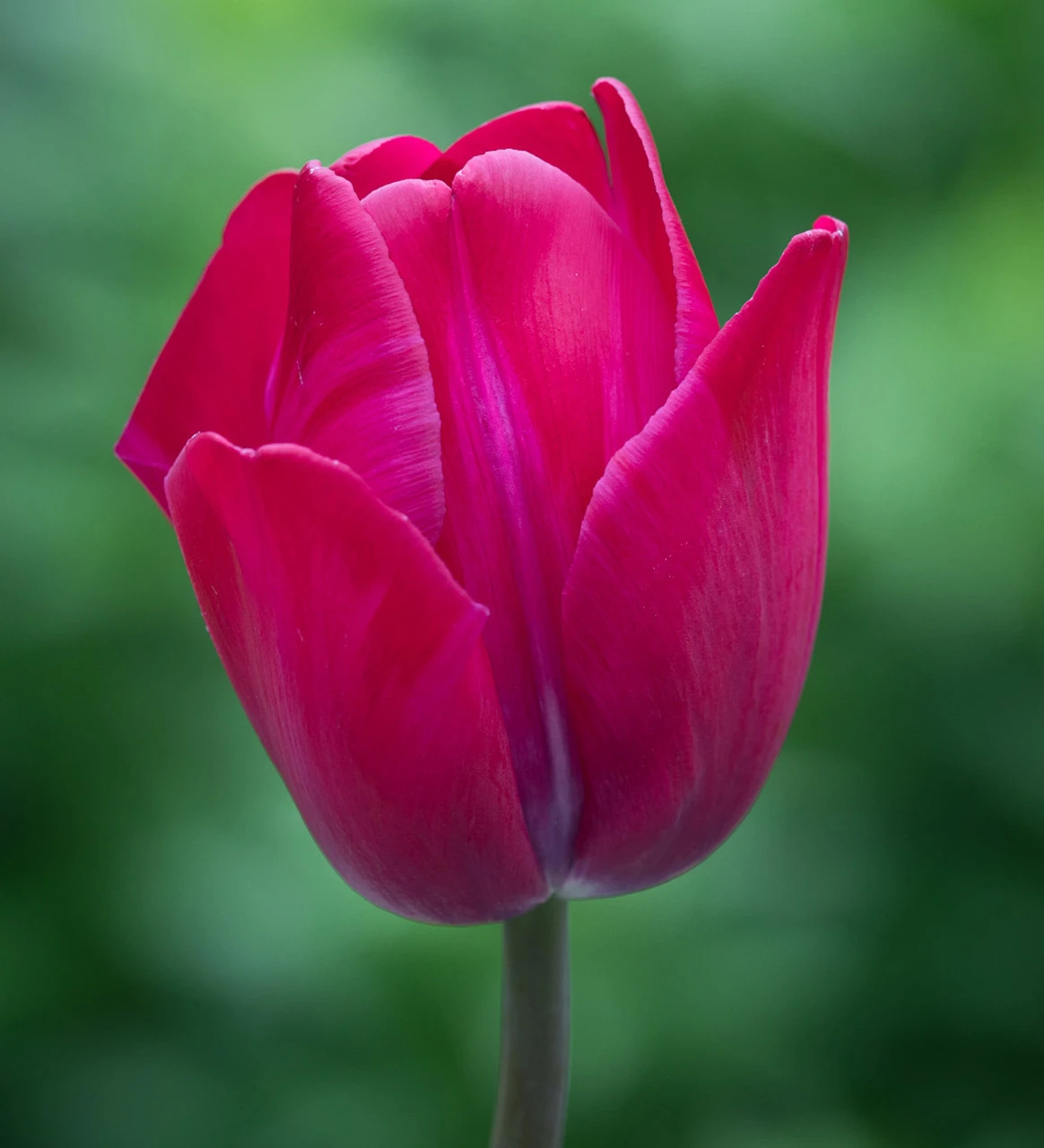 Karoo Sunset Collection - Image 5