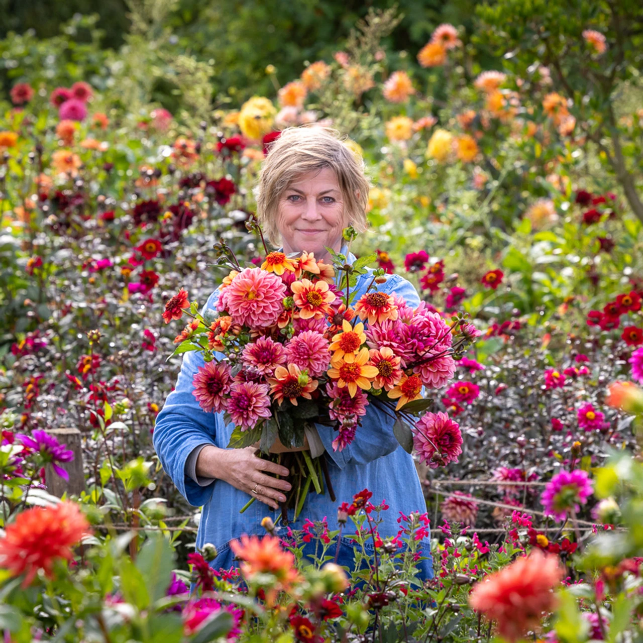 Sarah Raven Exclusives Dahlia Collection - Image 2