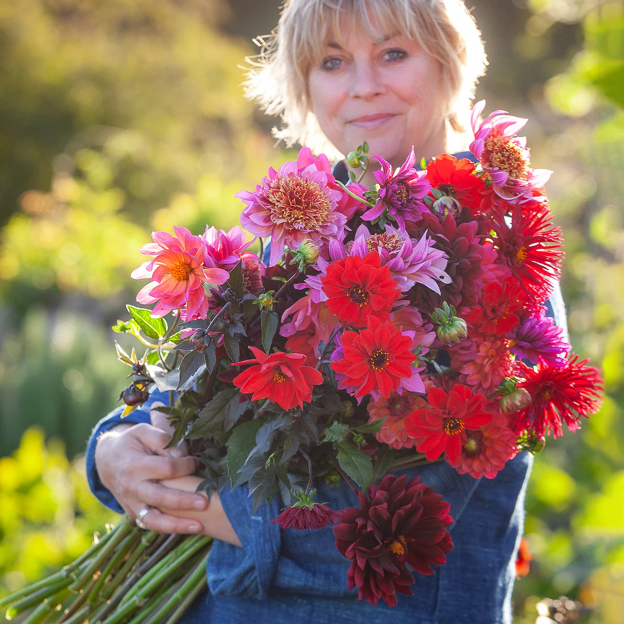 Sarah's Best For Borders Dahlia Collection