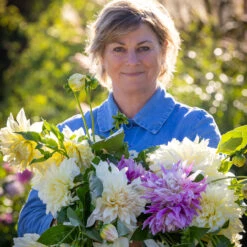 Ultimate Café Au Lait Collection