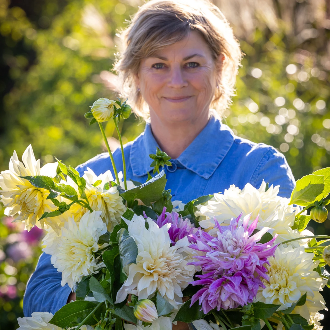 Ultimate Café Au Lait Collection