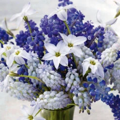 Blue And White Spring Collection