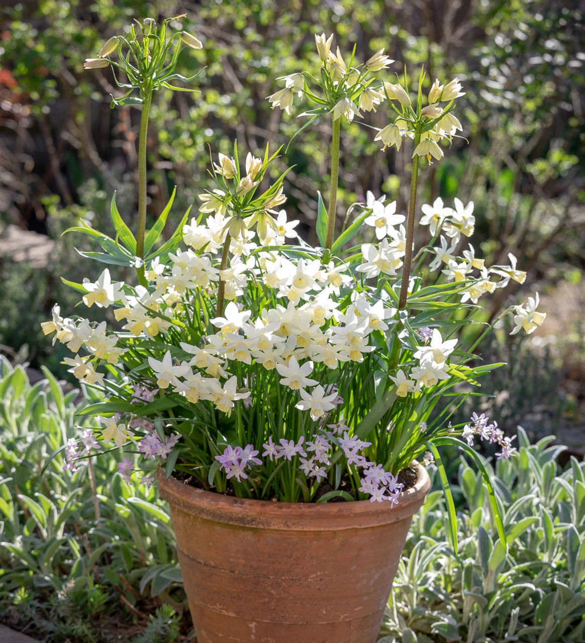 Deborah's Pot Collection