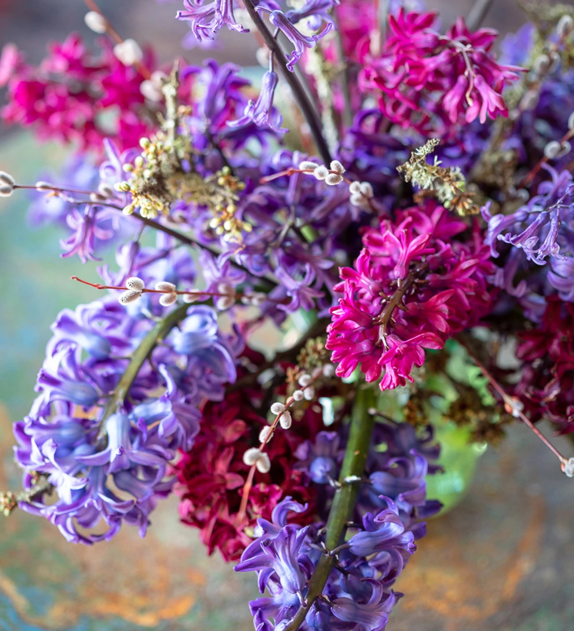 The Jewel Hyacinth Collection - Image 2