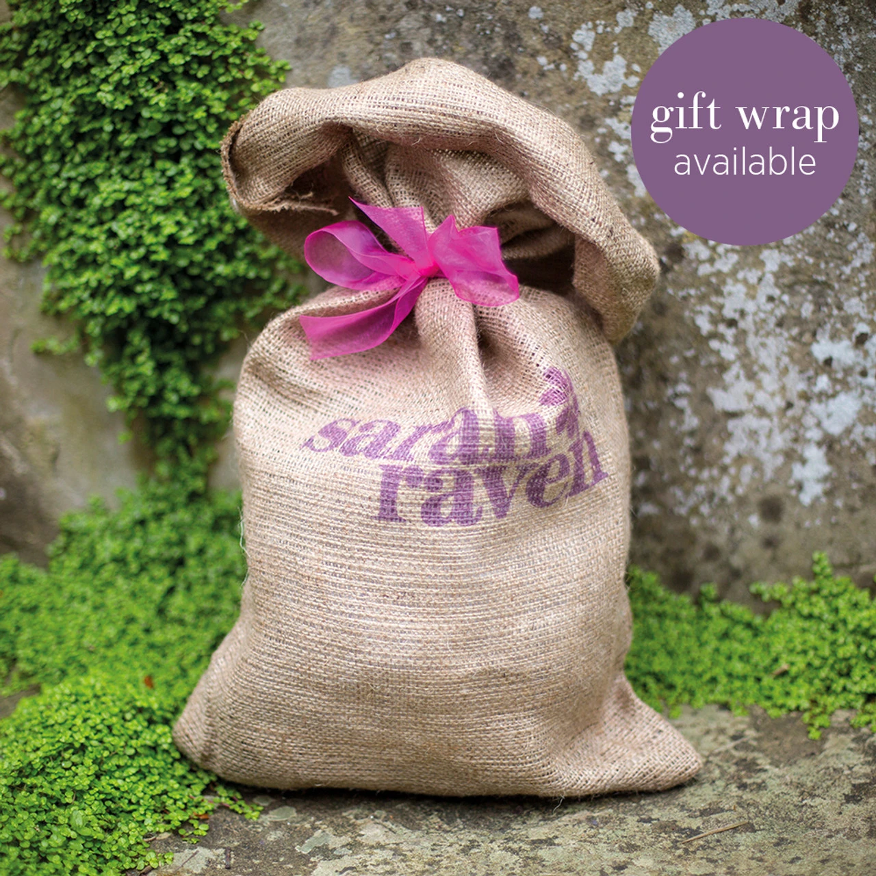 Allium 'Gladiator' - Image 2