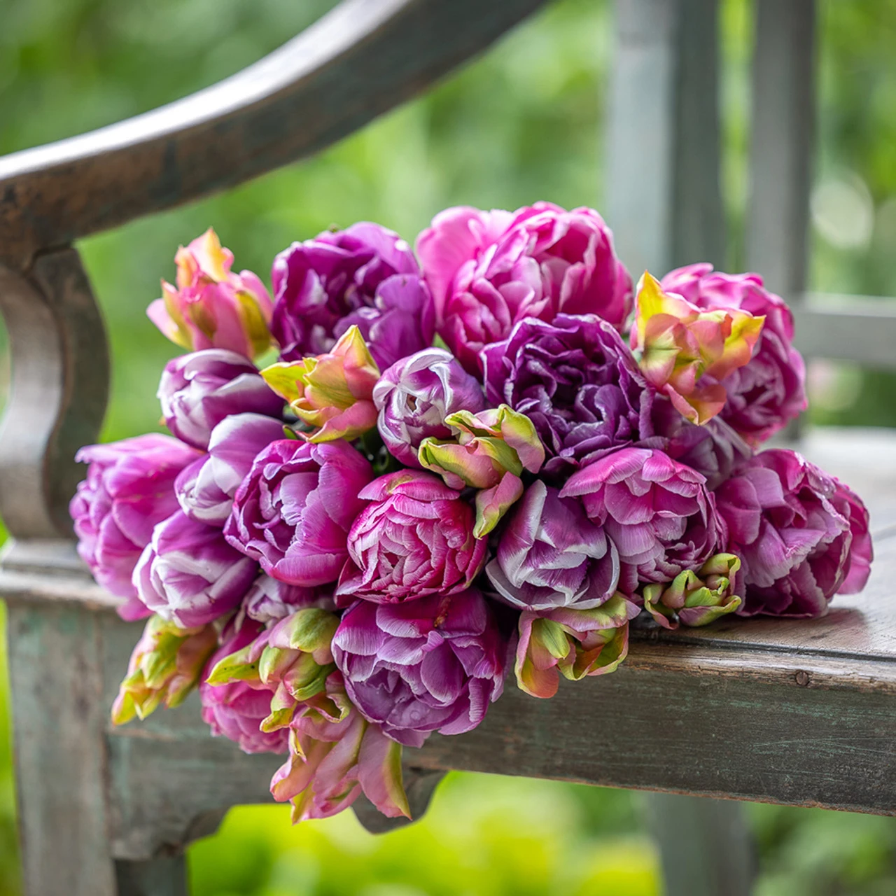 The Marbled Tulip Collection