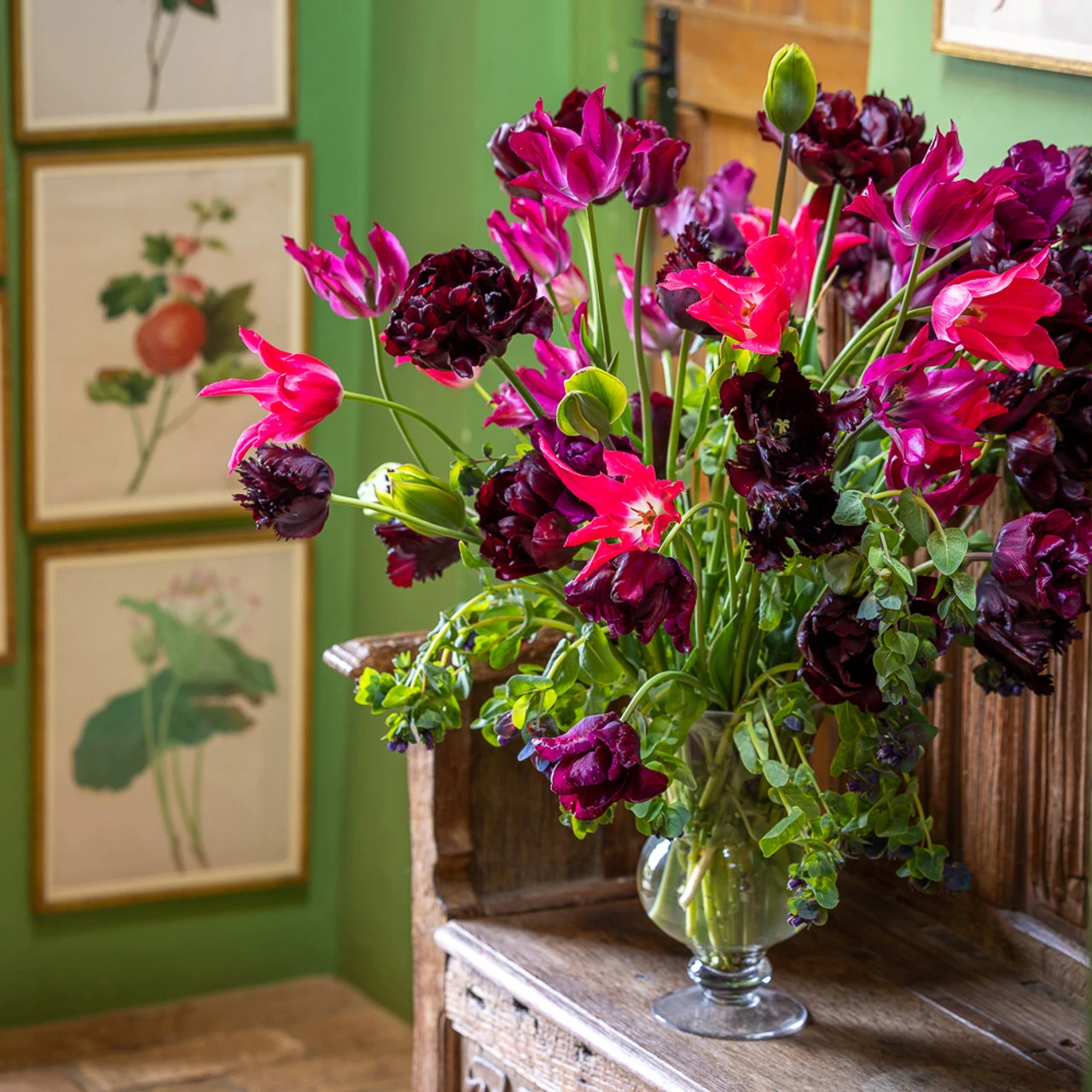 Rich Border Tulip Collection