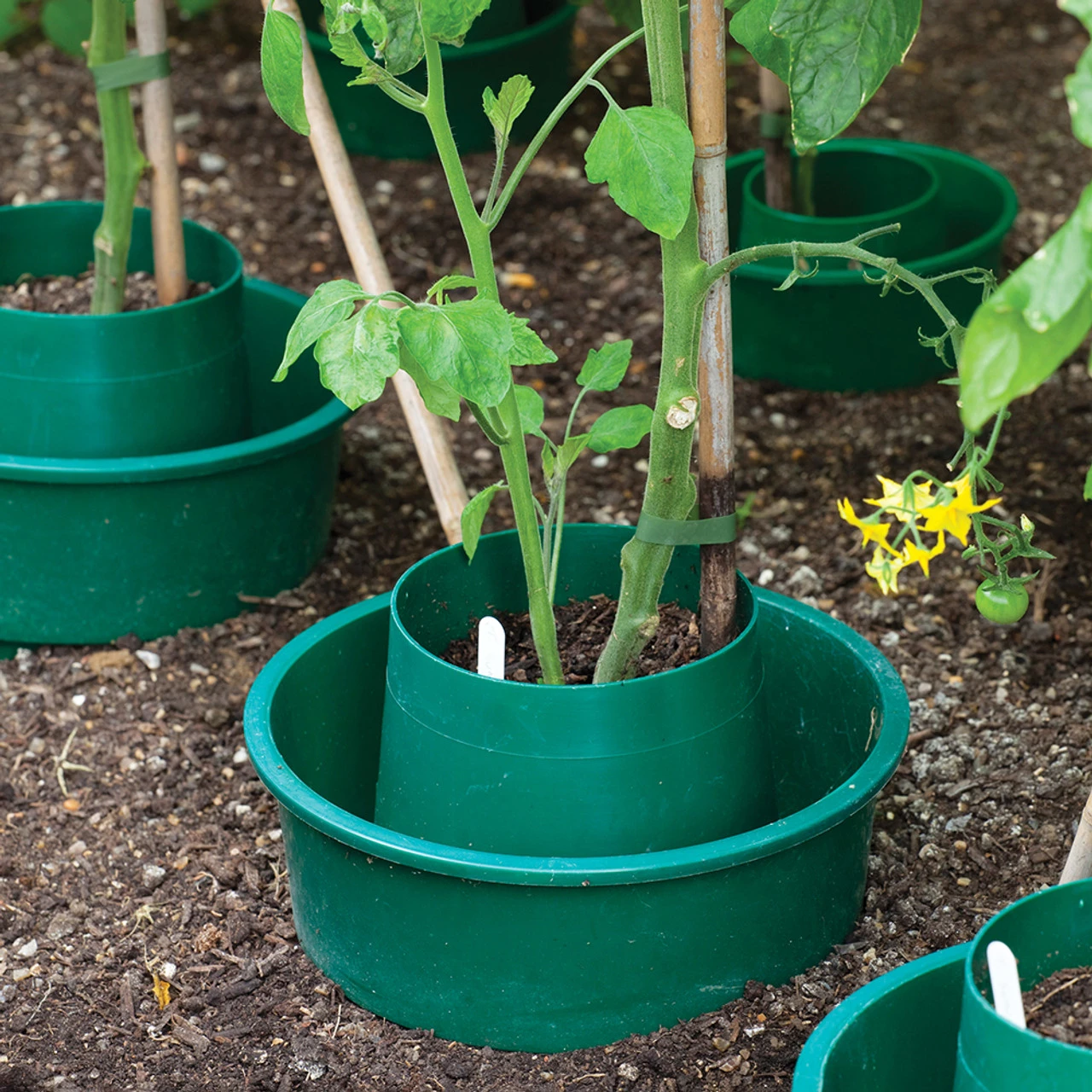 Circular Tomato And Pepper Ring Culture Pots - Image 2