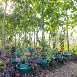 Circular Tomato And Pepper Ring Culture Pots