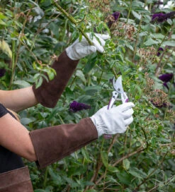 Sarah Raven Gauntlet Gloves
