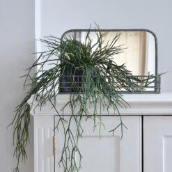 Mirror With Wire Shelf
