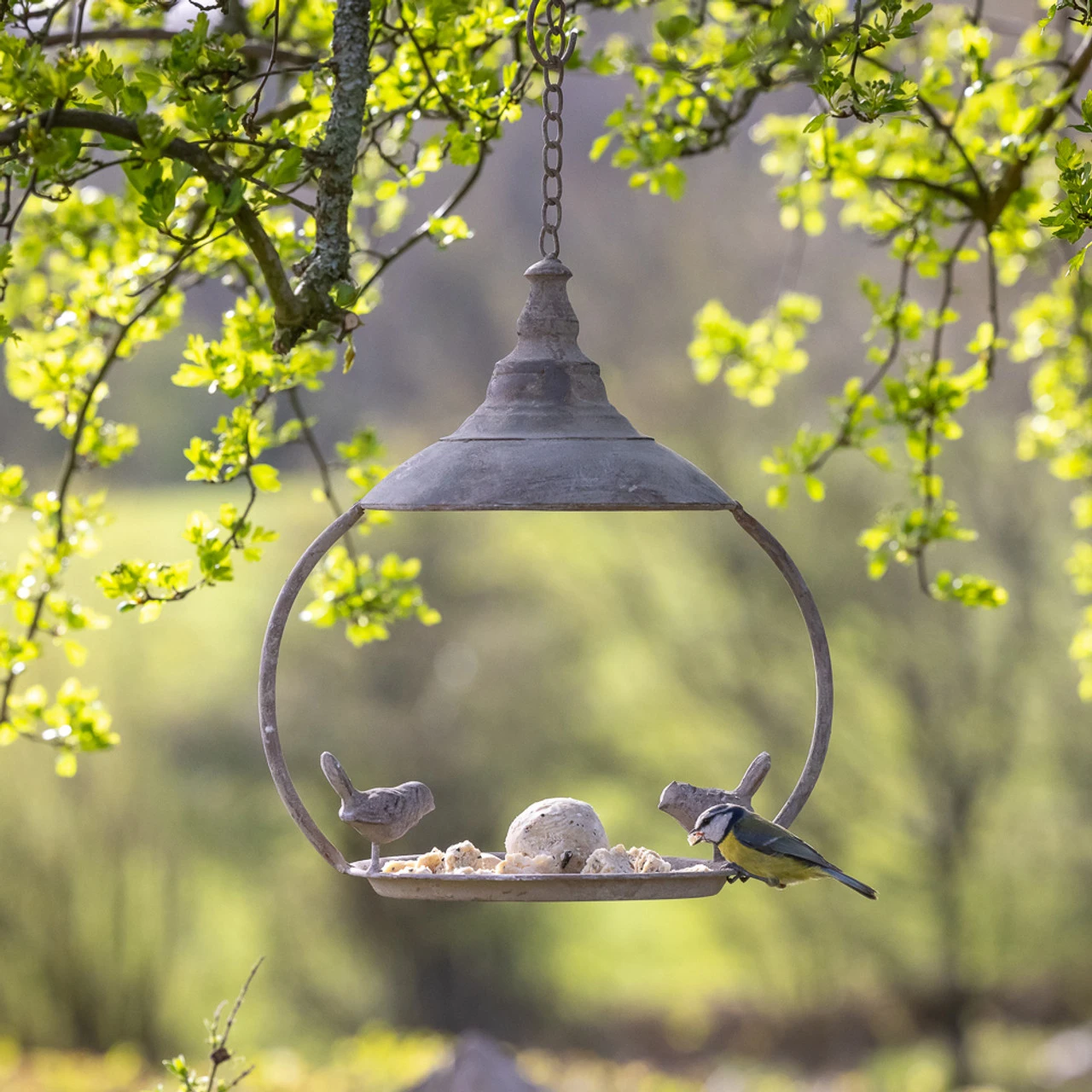 Round Bird Feeder