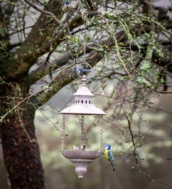 Lantern Bird Feeder