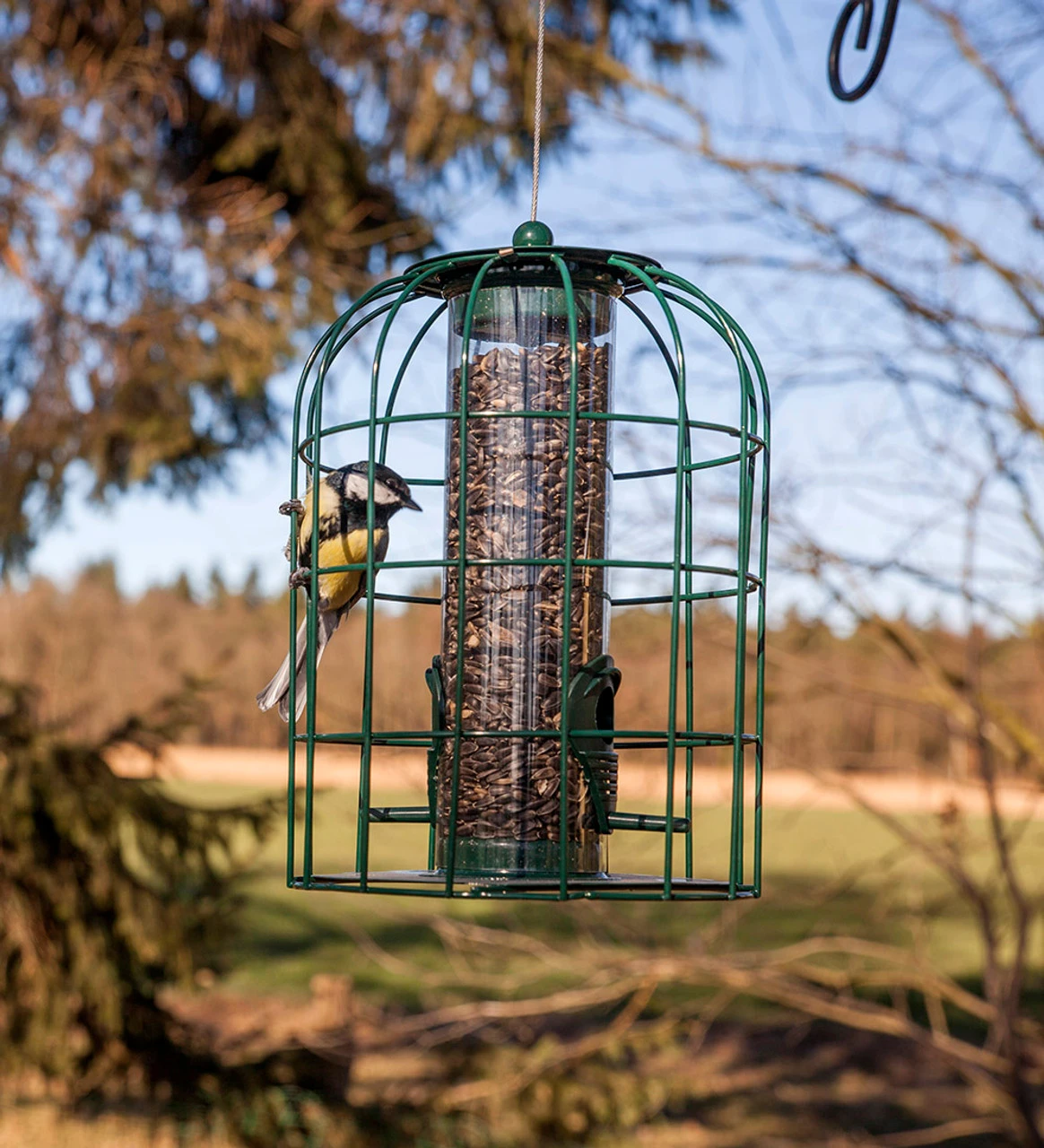 Squirrel Proof Bird Feeder - Image 2