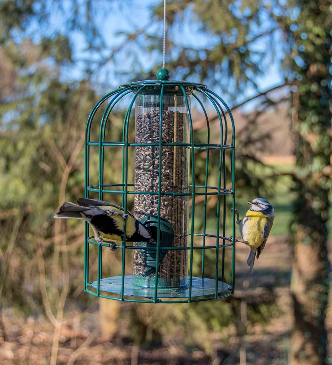 Squirrel Proof Bird Feeder - Image 3