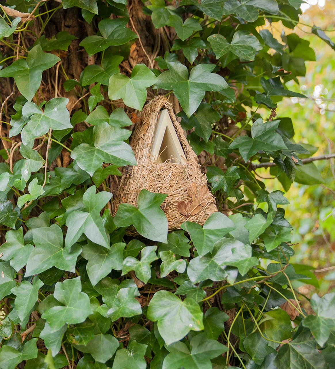 Wren Camouflage Nesting Box - Image 2