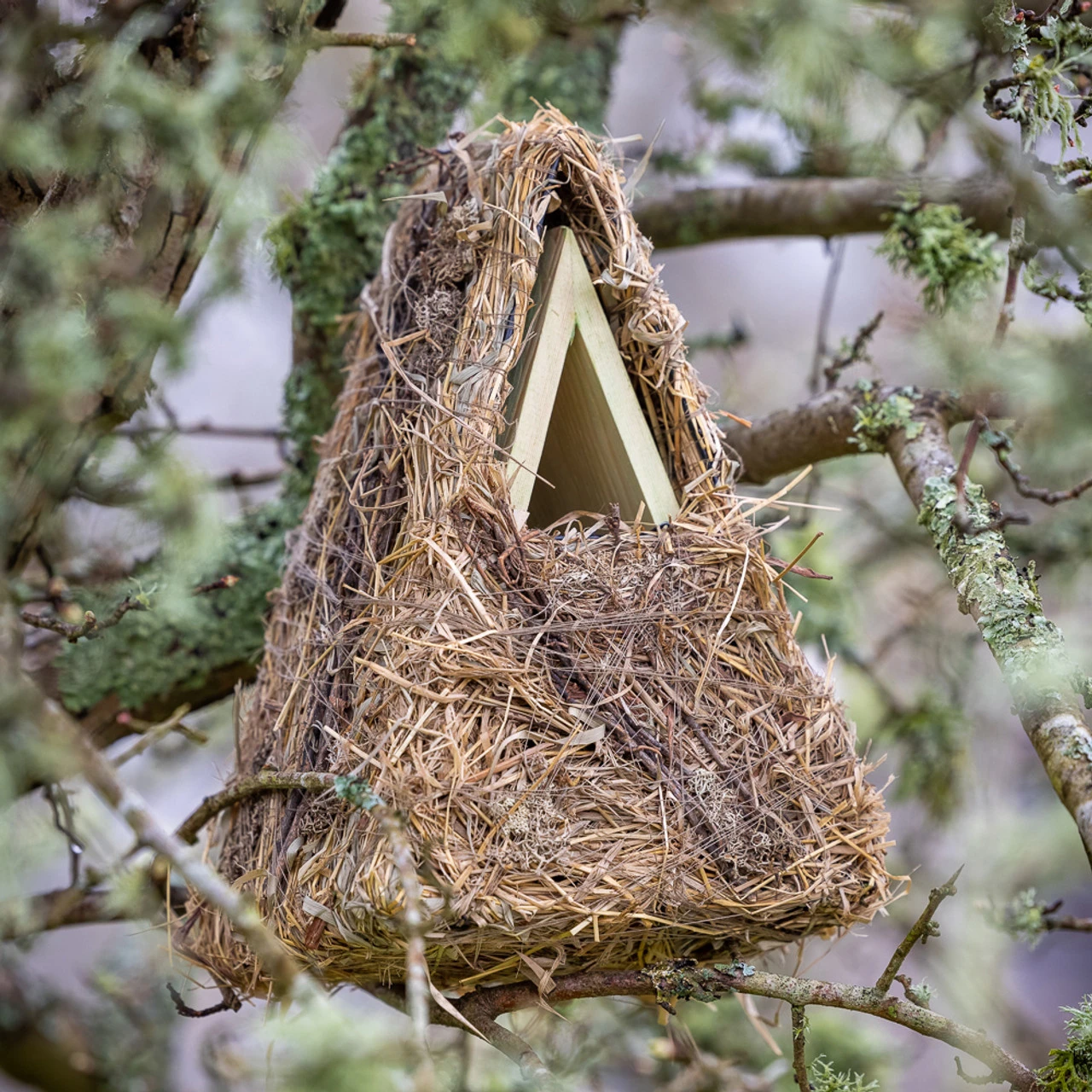 Wren Camouflage Nesting Box