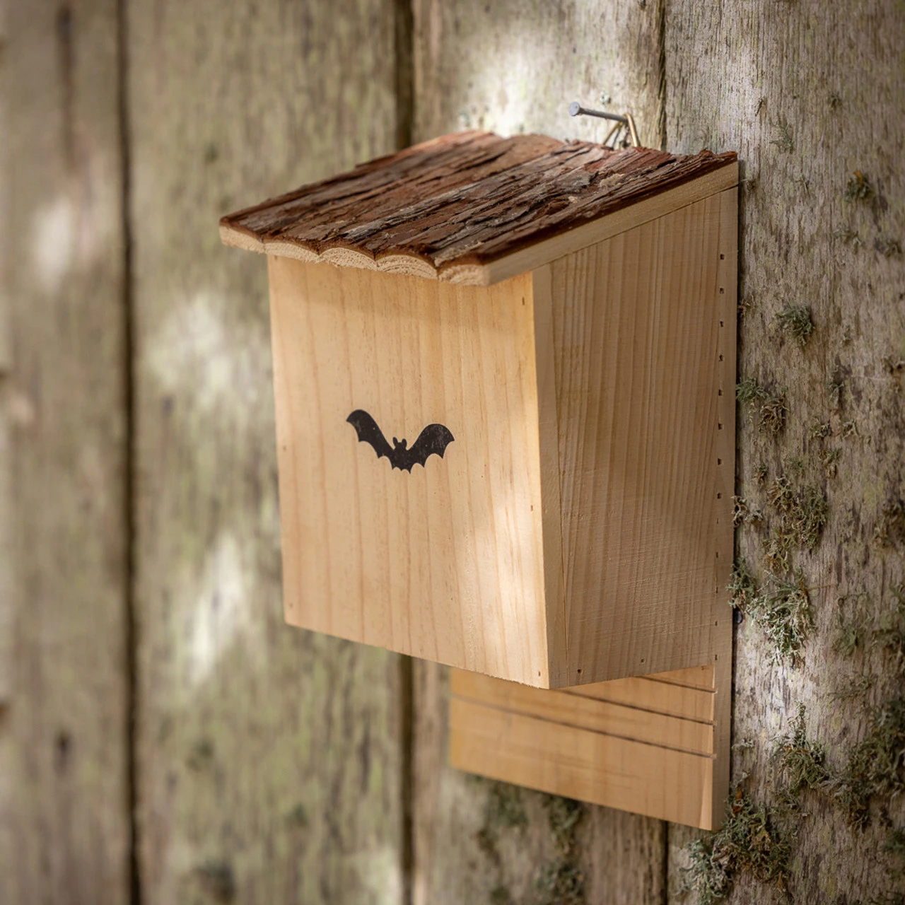 Bat Box - Image 3