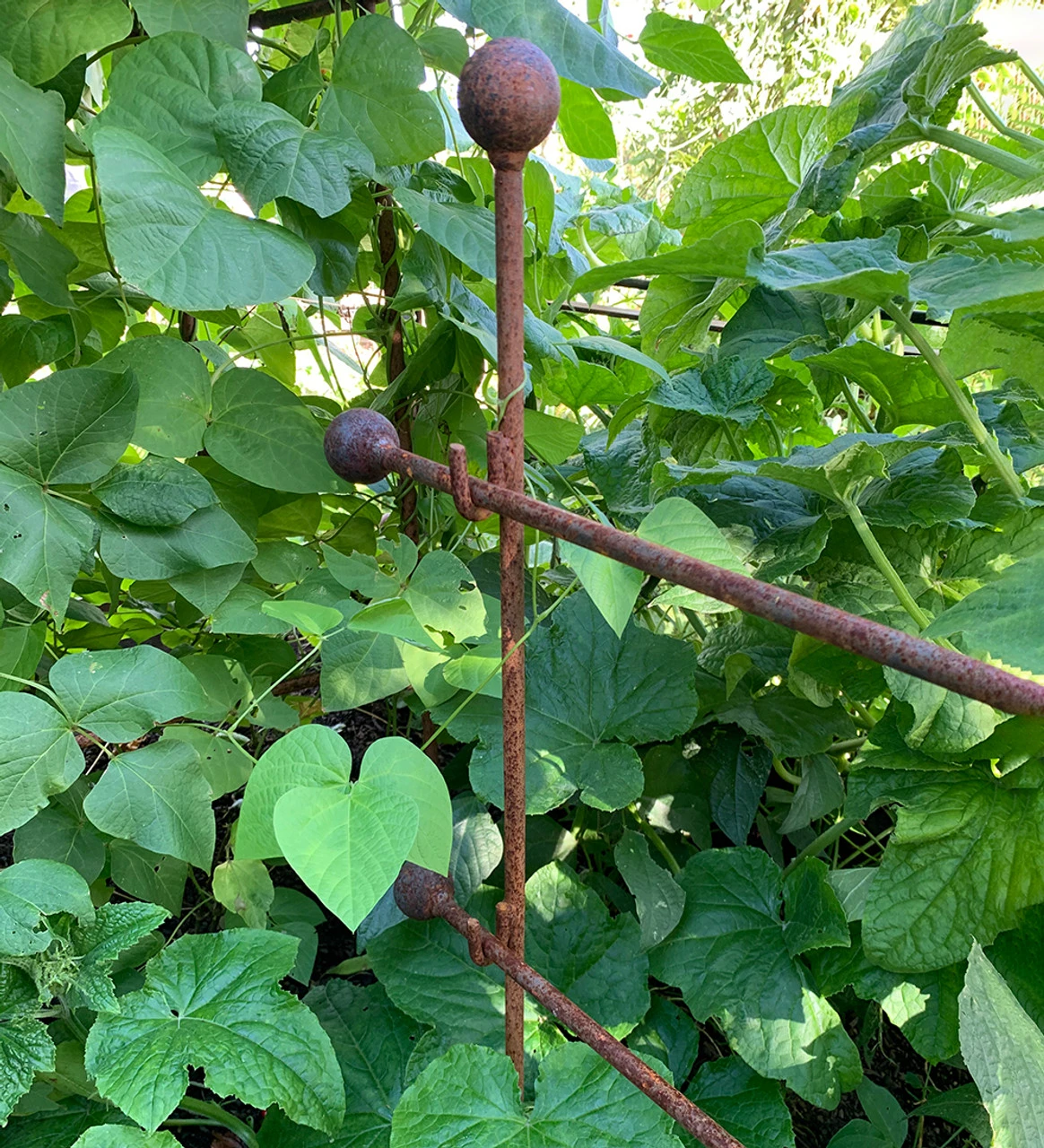 Step-over Plant Support - Image 3