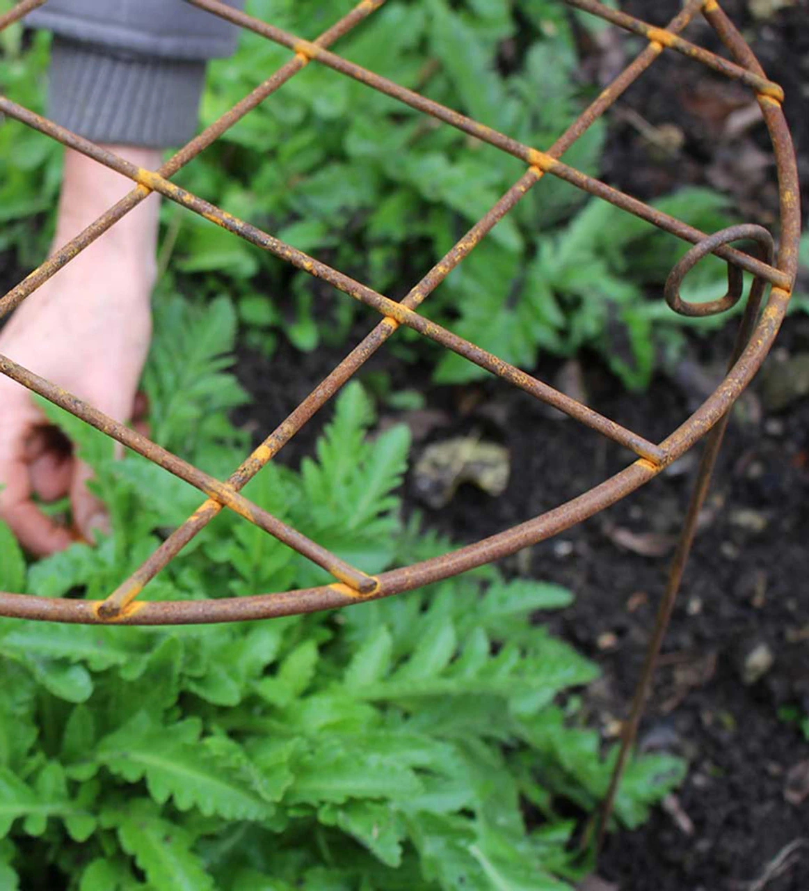 Round Grow Frame - Image 4