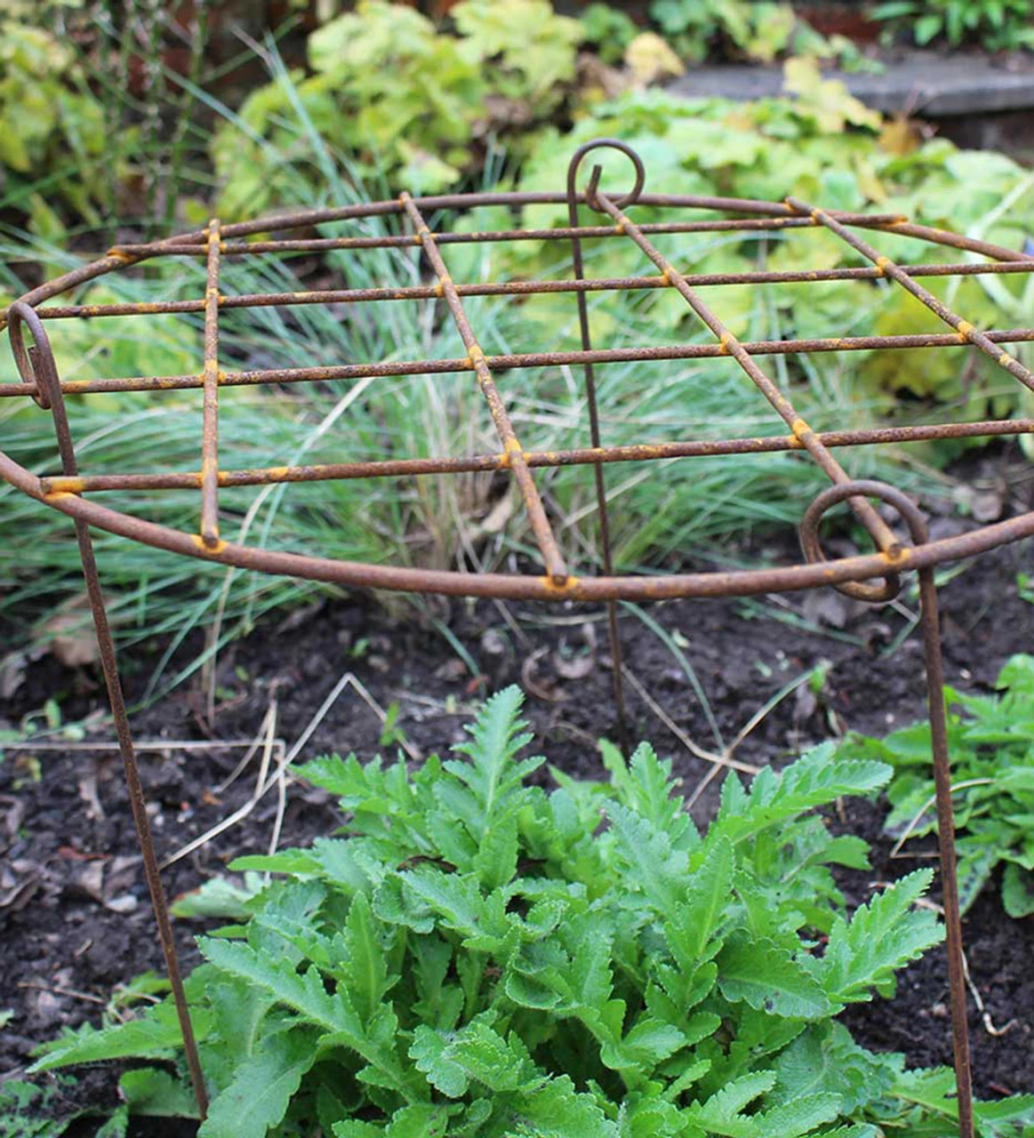 Round Grow Frame - Image 5