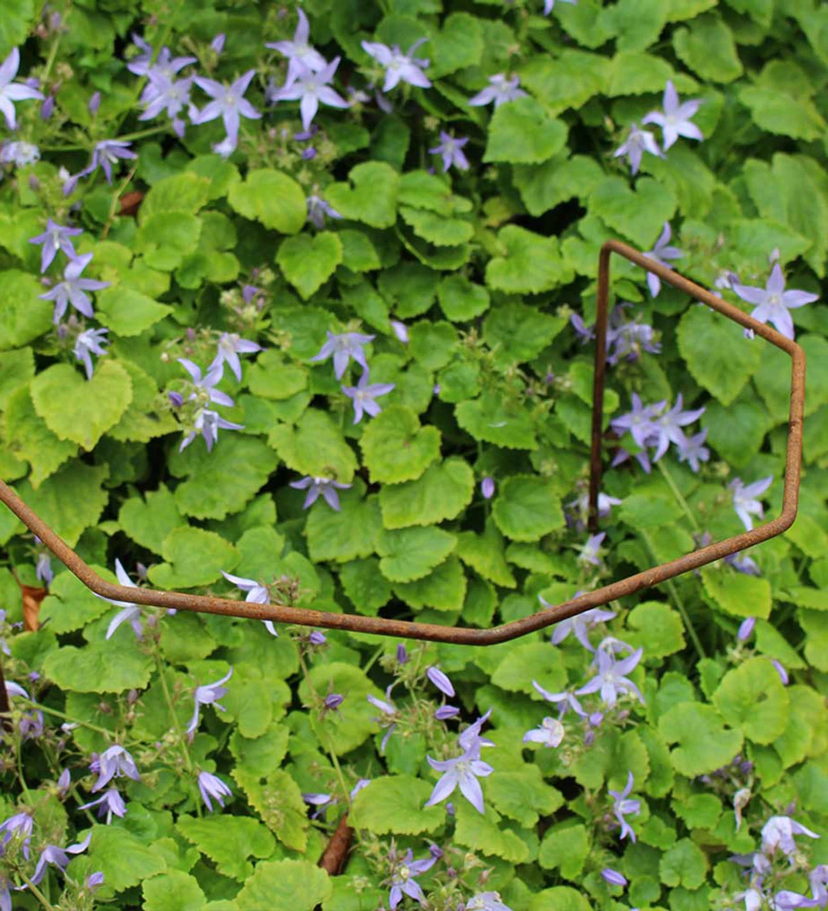 Rustic Herbaceous Supports