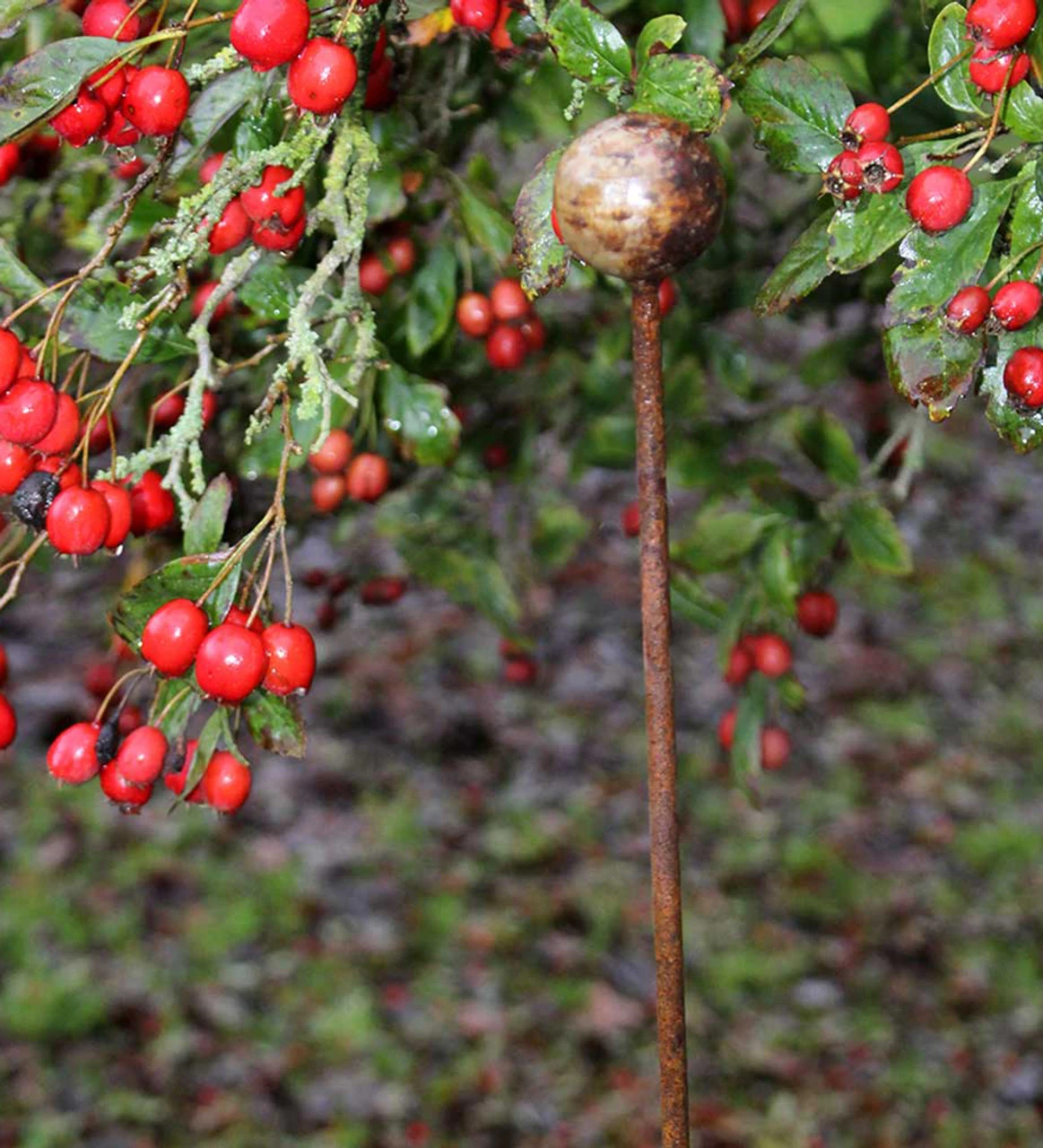 Rustic Plant Stakes - Image 3