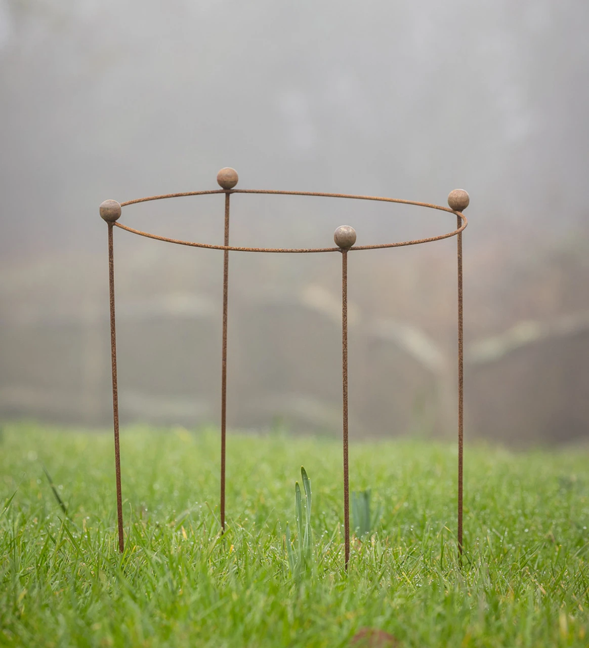 Drum Plant Support - Image 3