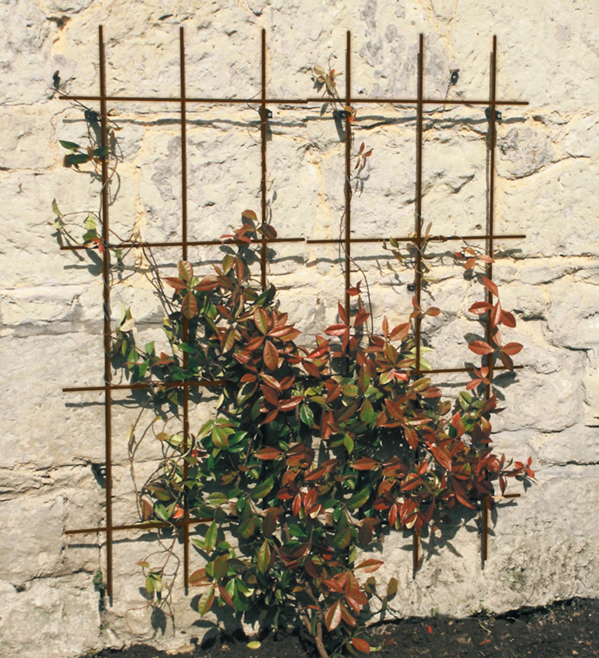 Square Trellis Set