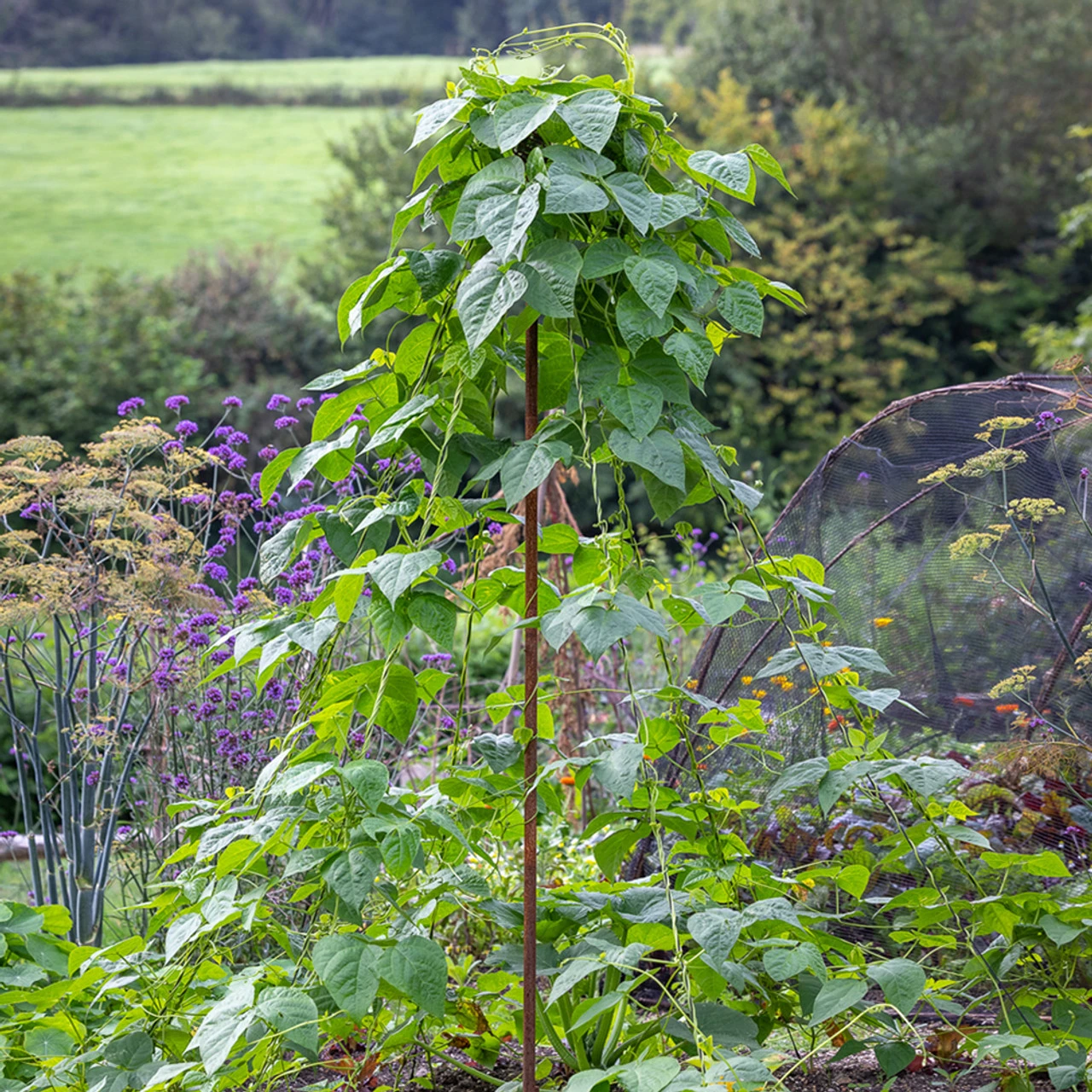 Rustic Maypole Support