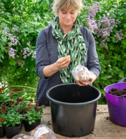 Pots For Successional Planting