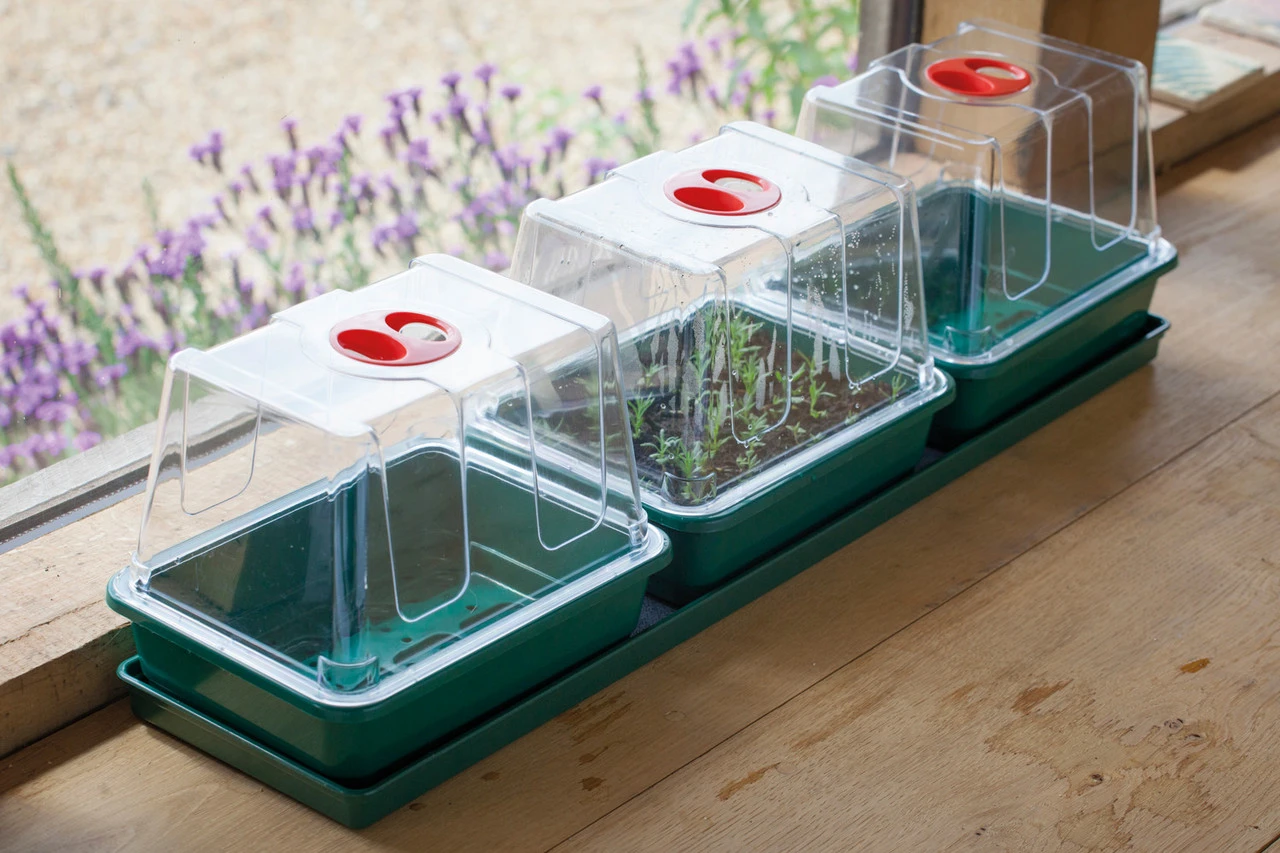 Windowsill Propagator Kit
