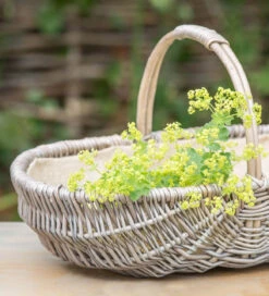 Willow Flower Trug