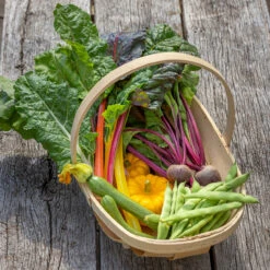 Lightweight Harvest Trug