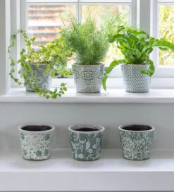 Dutch-style Pots