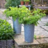 Tall Ribbed Galvanised Planter