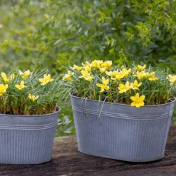 Oval Tapered Zinc Pot