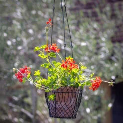 Decorative Wire Hanging Basket