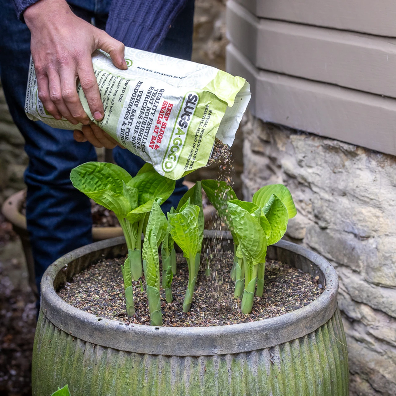 Seaweed Slug Repellent (Soil Enhancer)