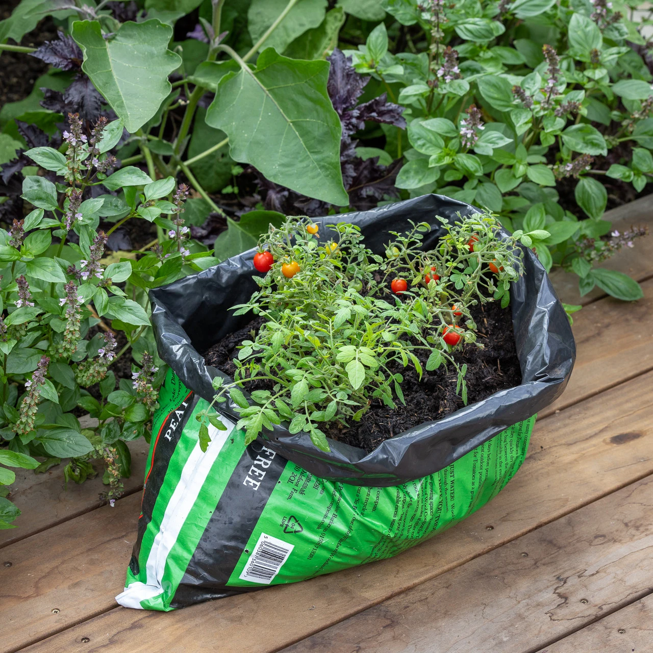 Peat Free Wool Compost For Tomatoes