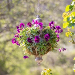 Hanging Orb Planters Set