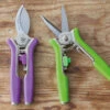 Sarah Raven Mini Secateurs Set