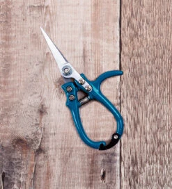 Sarah Raven Ergo Snips