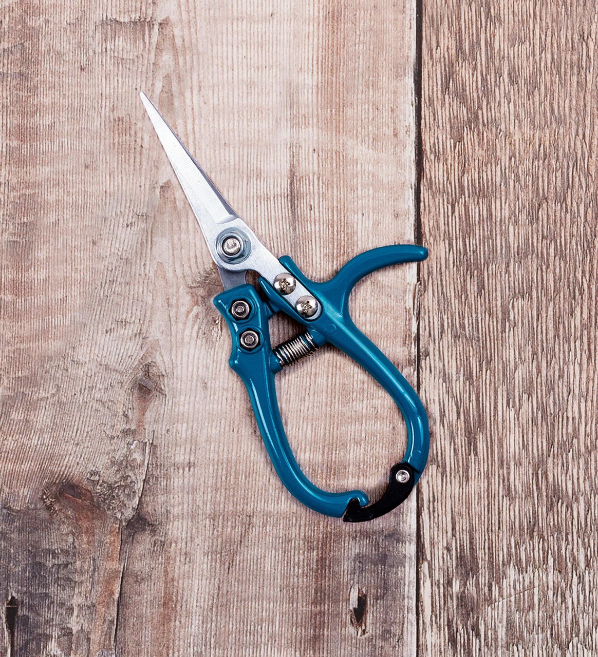 Sarah Raven Ergo Snips